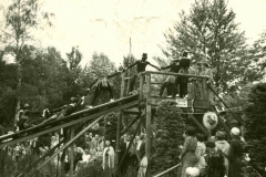 19681436